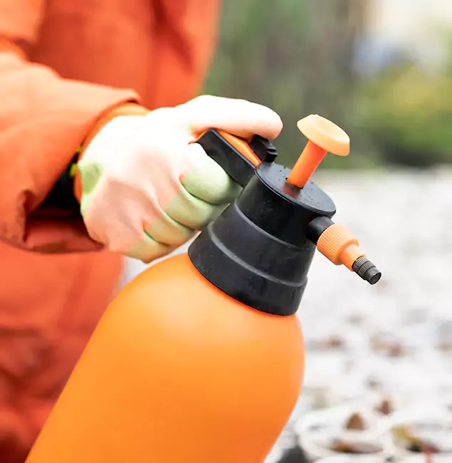 Why Choose Kennesaw Pest Control Pro for Orange Termite Treatment in Kennesaw, GA?