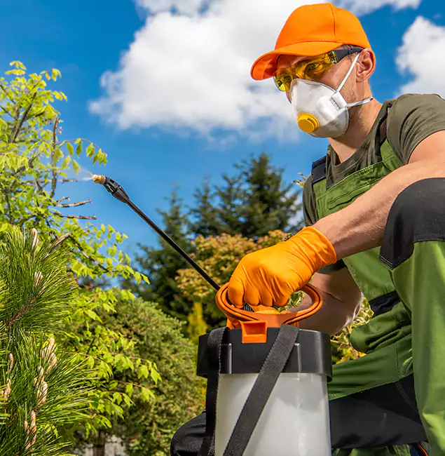 Why Choose Kennesaw Pest Control Pro for Outdoor Pest Control in Kennesaw, GA?