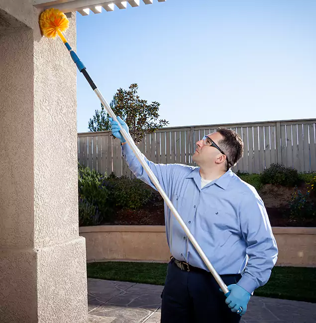 Why Choose Kennesaw Pest Control Pro for Pest Control Services in Kennesaw, GA?