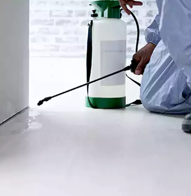 Why Choose Kennesaw Pest Control Pro for Rat Exterminator in Kennesaw, GA?