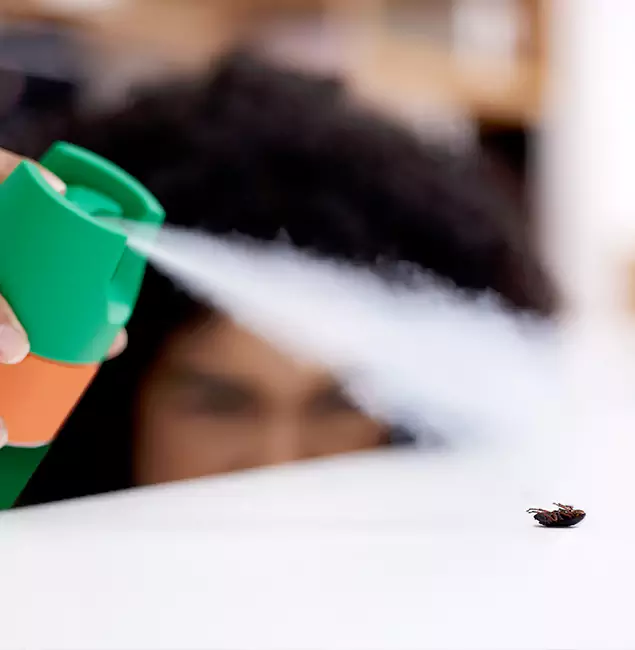 Why Kennesaw, GA Homeowners Choose Kennesaw Pest Control Pro for Roach Pest Control?