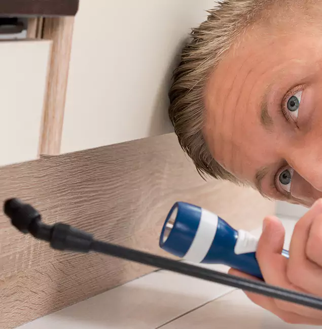 Why Choose Kennesaw Pest Control Pro for Rodent Exterminator in Kennesaw, GA?