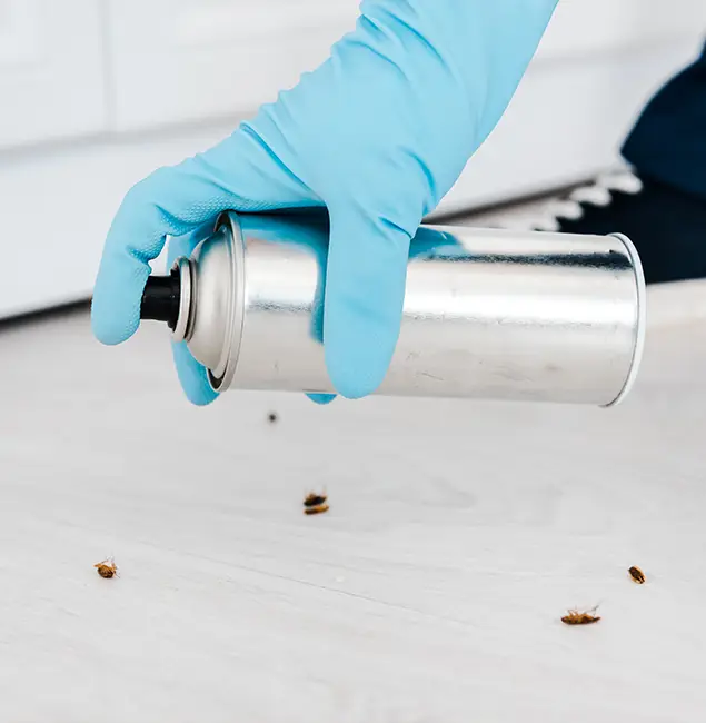Why Choose Kennesaw Pest Control Pro for Safe Bed Bug Treatment in Kennesaw, GA?