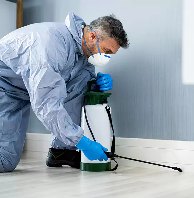 Why Choose Kennesaw Pest Control Pro for Subterranean Termites Treatment in Kennesaw, GA?