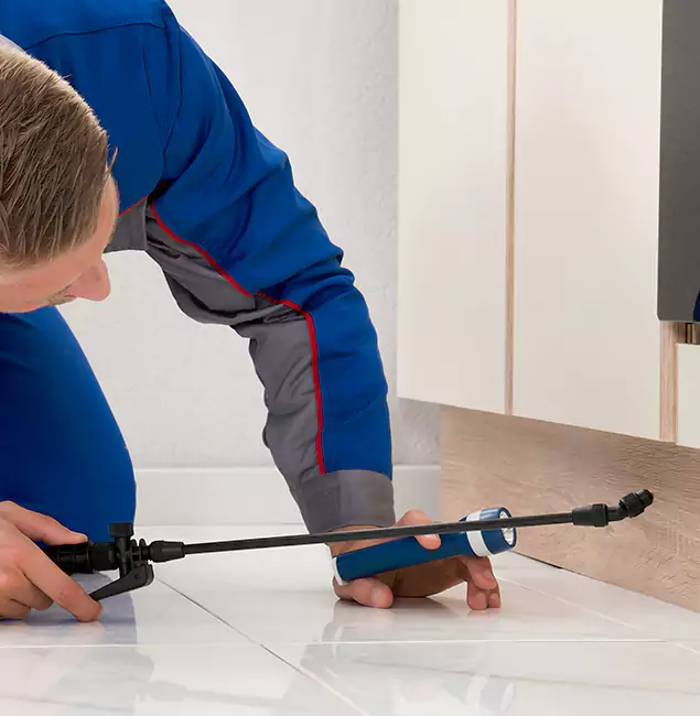 Why Kennesaw Residents Choose Kennesaw Pest Control Pro to Get Rid of Sugar Ants?