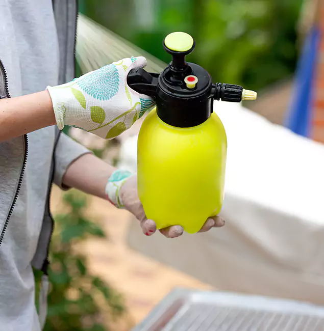 Why Choose Us: Kennesaw Pest Control Pro Termite Spraying Experts in Kennesaw, GA?