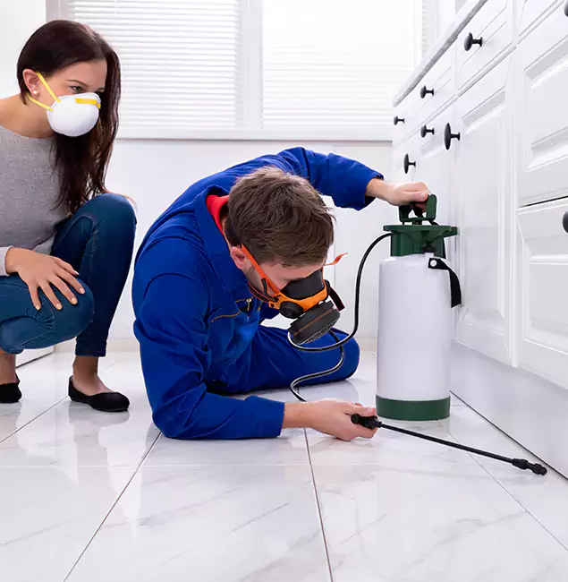 Why Choose Wood Termite Treatment by Kennesaw Pest Control Pro in Kennesaw, GA?