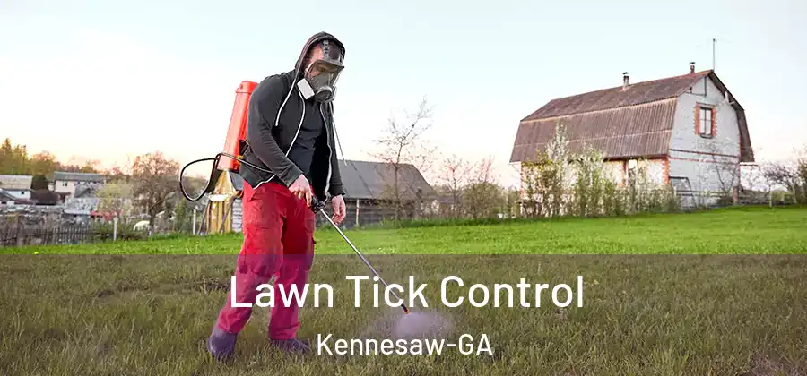 Lawn Tick Control Kennesaw-GA