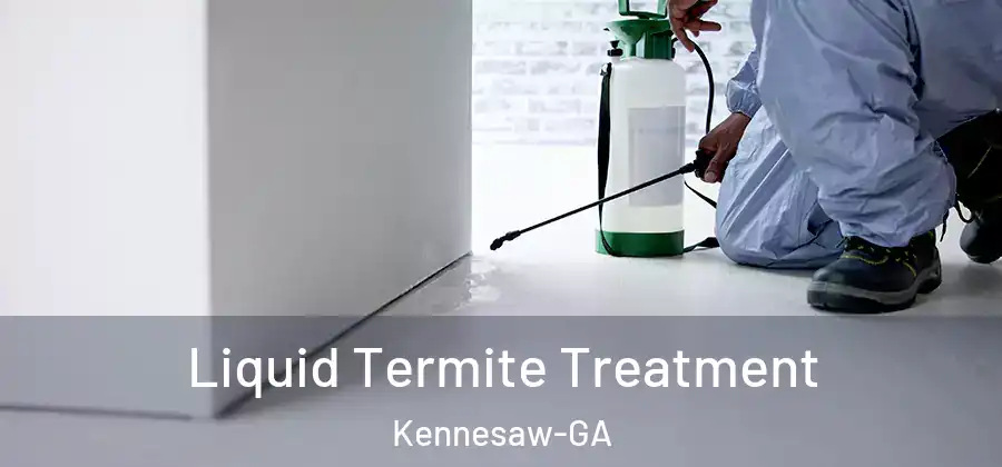 Liquid Termite Treatment Kennesaw-GA