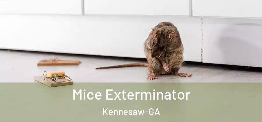Mice Exterminator Kennesaw-GA