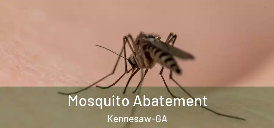 Mosquito Abatement Kennesaw-GA