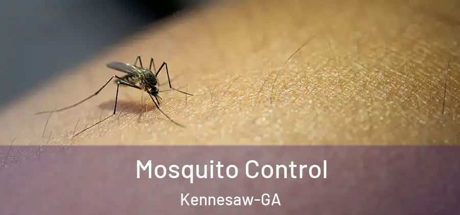 Mosquito Control Kennesaw-GA