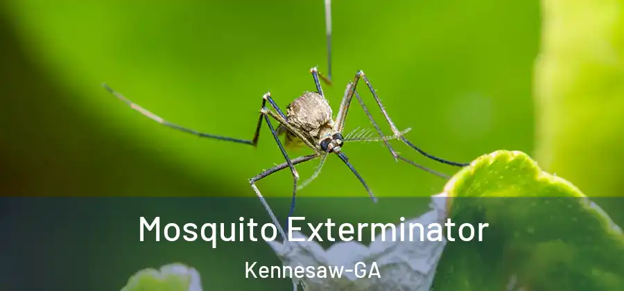 Mosquito Exterminator Kennesaw-GA