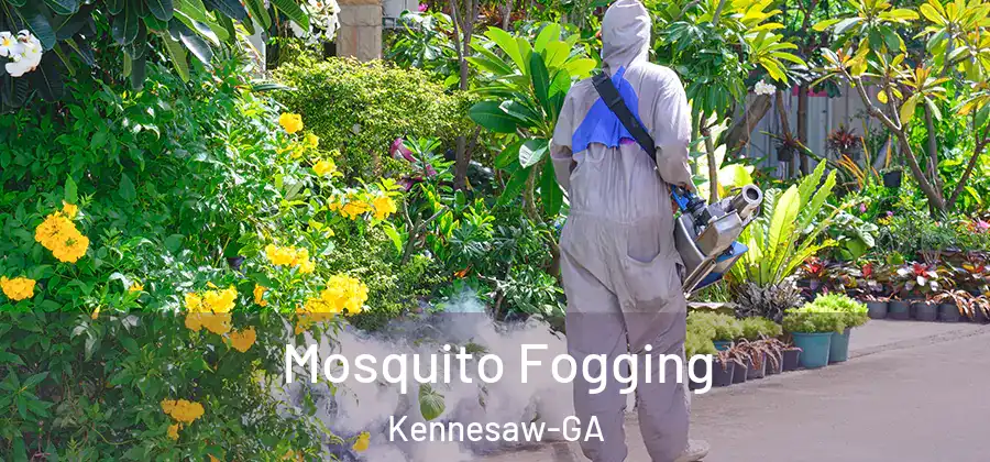 Mosquito Fogging Kennesaw-GA