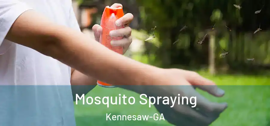 Mosquito Spraying Kennesaw-GA