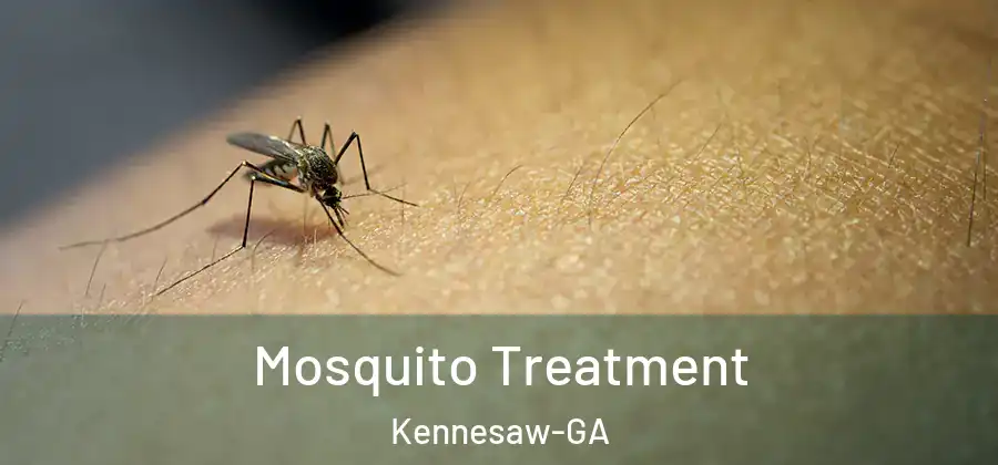 Mosquito Treatment Kennesaw-GA