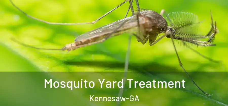 Mosquito Yard Treatment Kennesaw-GA