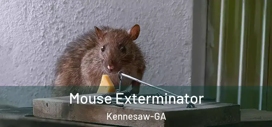 Mouse Exterminator Kennesaw-GA