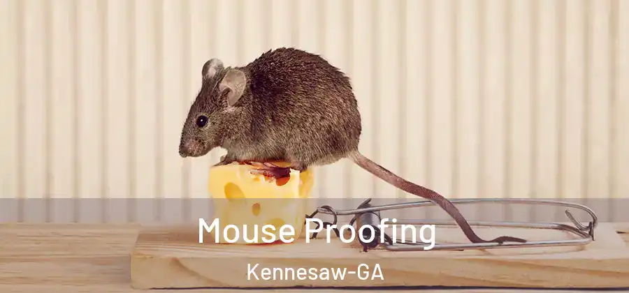 Mouse Proofing Kennesaw-GA