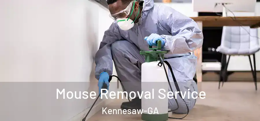 Mouse Removal Service Kennesaw-GA