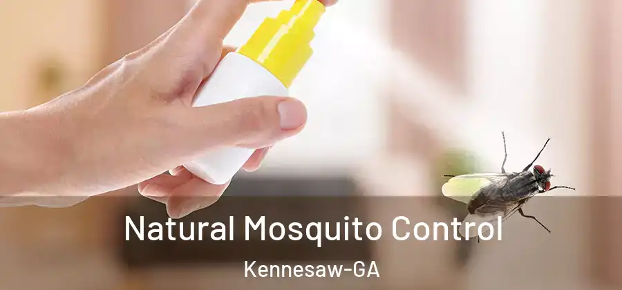 Natural Mosquito Control Kennesaw-GA