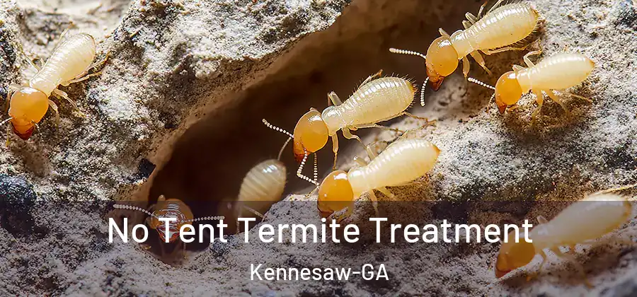 No Tent Termite Treatment Kennesaw-GA