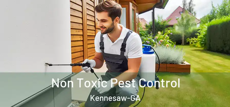 Non Toxic Pest Control Kennesaw-GA