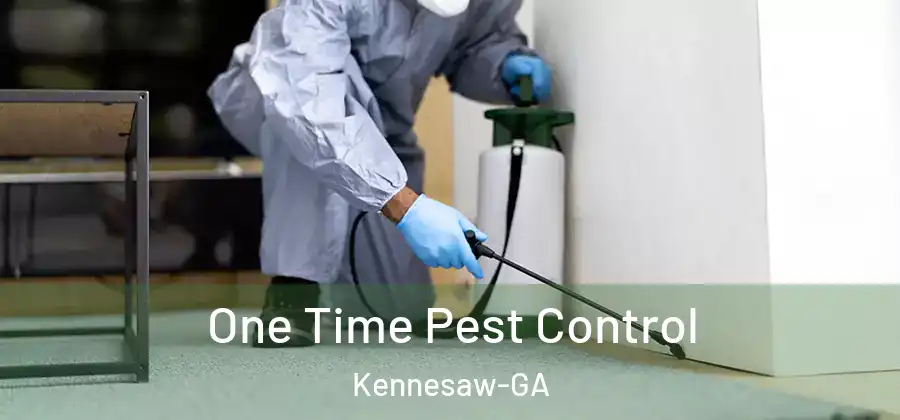 One Time Pest Control Kennesaw-GA