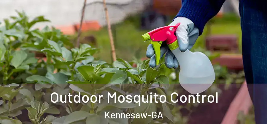 Outdoor Mosquito Control Kennesaw-GA