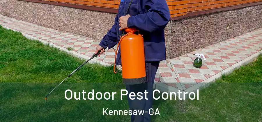 Outdoor Pest Control Kennesaw-GA