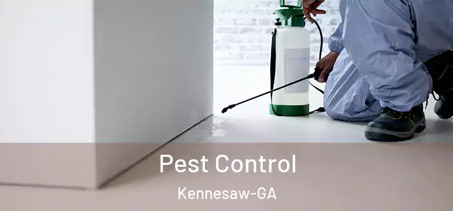 Pest Control Kennesaw-GA