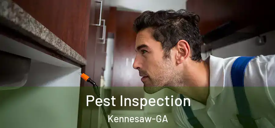 Pest Inspection Kennesaw-GA