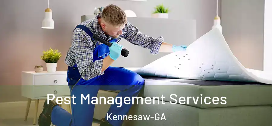 Pest Management Services Kennesaw-GA
