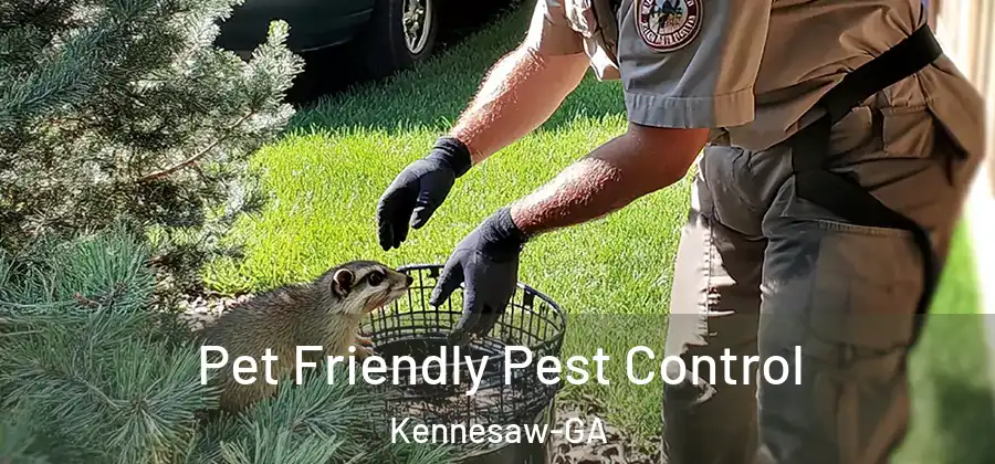 Pet Friendly Pest Control Kennesaw-GA