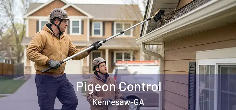 Pigeon Control Kennesaw-GA