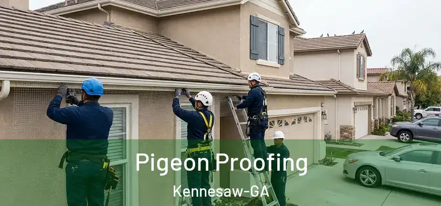 Pigeon Proofing Kennesaw-GA