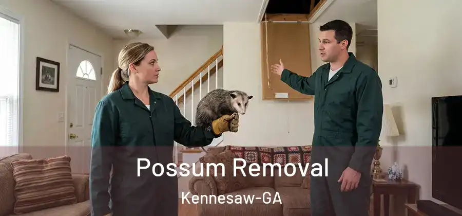 Possum Removal Kennesaw-GA