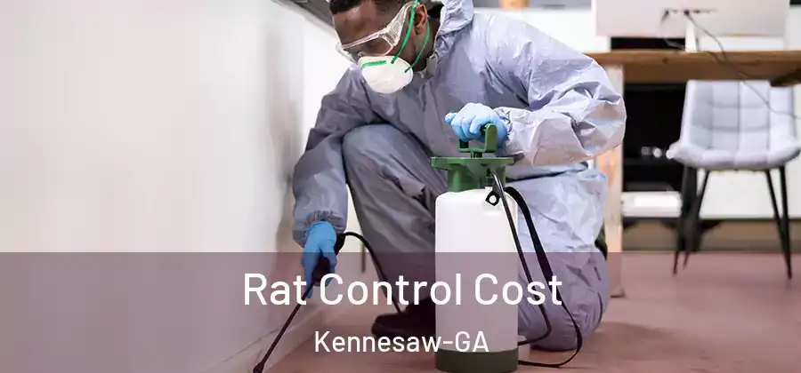 Rat Control Cost Kennesaw-GA