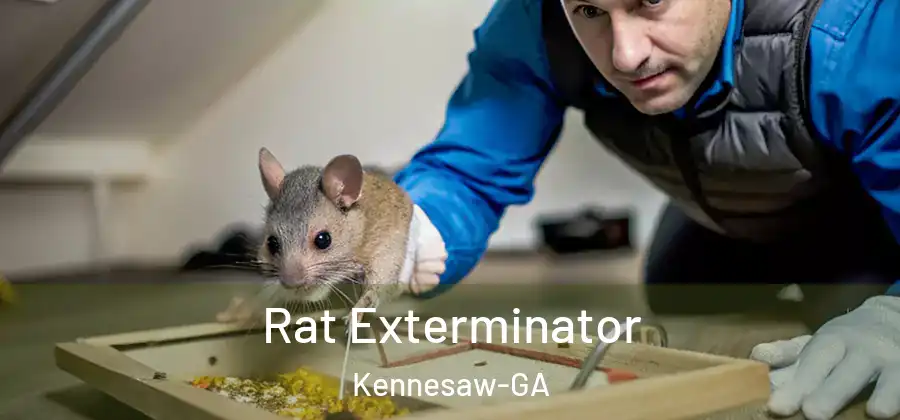 Rat Exterminator Kennesaw-GA