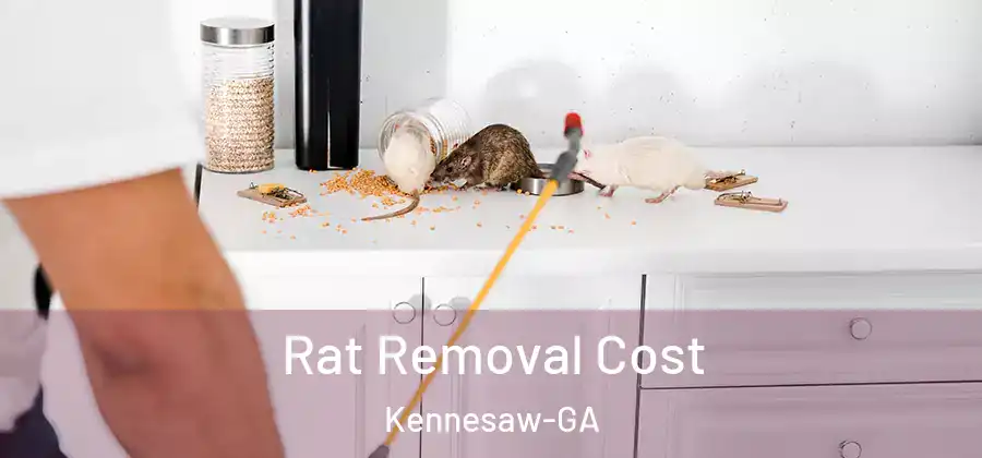 Rat Removal Cost Kennesaw-GA