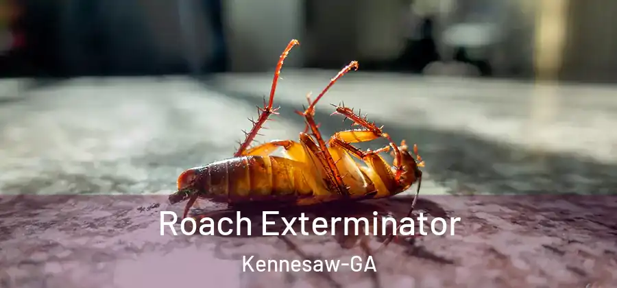 Roach Exterminator Kennesaw-GA