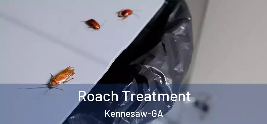 Roach Treatment Kennesaw-GA