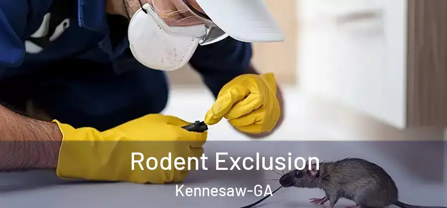Rodent Exclusion Kennesaw-GA