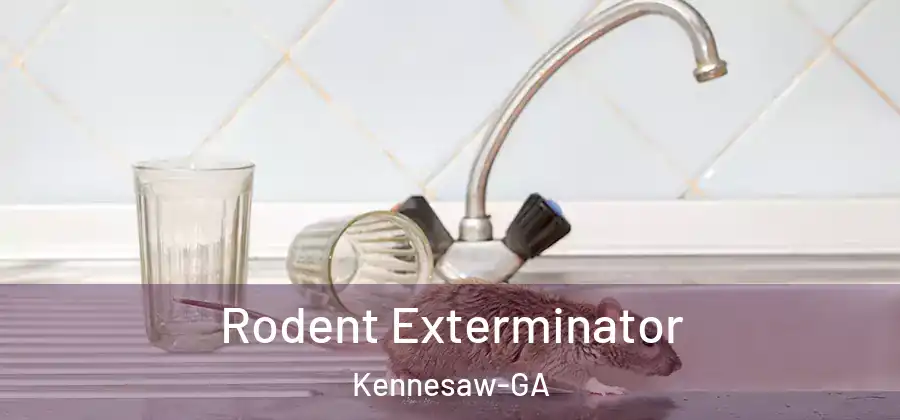 Rodent Exterminator Kennesaw-GA