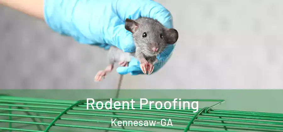 Rodent Proofing Kennesaw-GA