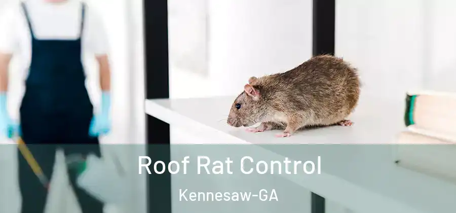  Roof Rat Control Kennesaw-GA