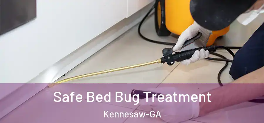 Safe Bed Bug Treatment Kennesaw-GA