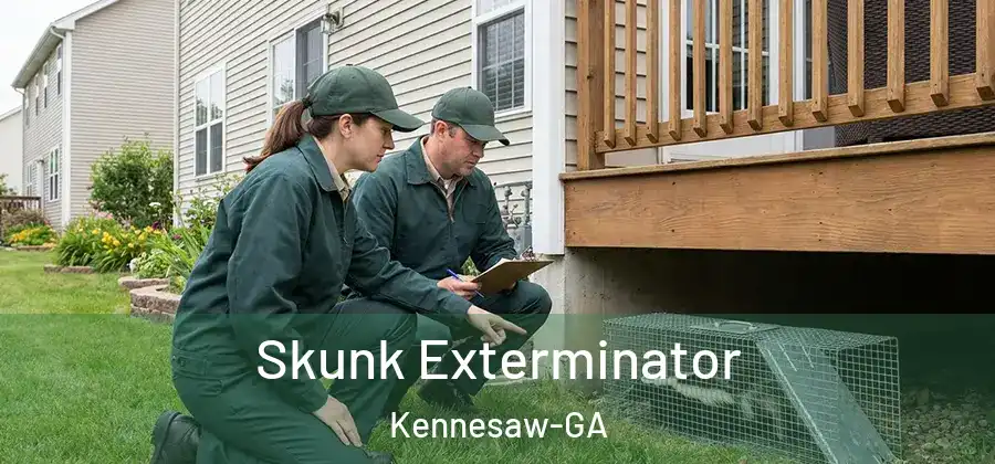 Skunk Exterminator Kennesaw-GA
