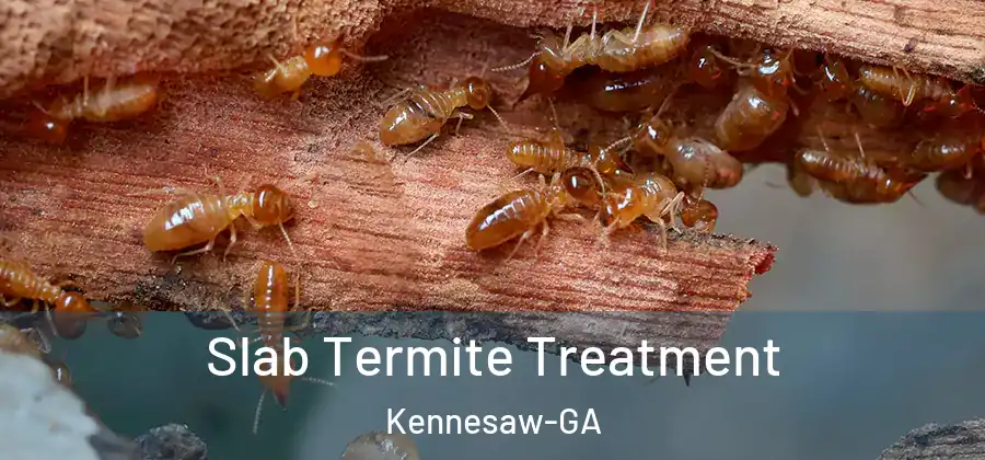 Slab Termite Treatment Kennesaw-GA