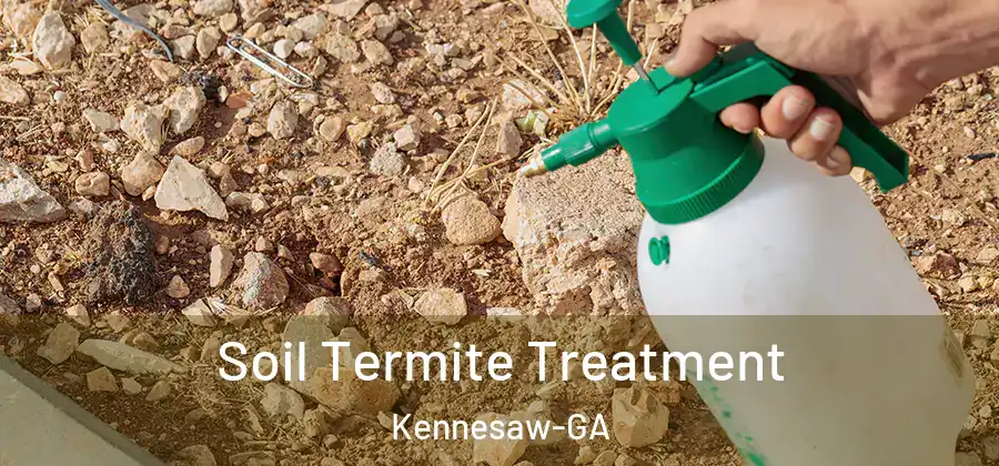 Soil Termite Treatment Kennesaw-GA